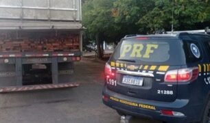PRF realiza apreensão de aproximadamente 46 m³ de madeira em transporte irregular