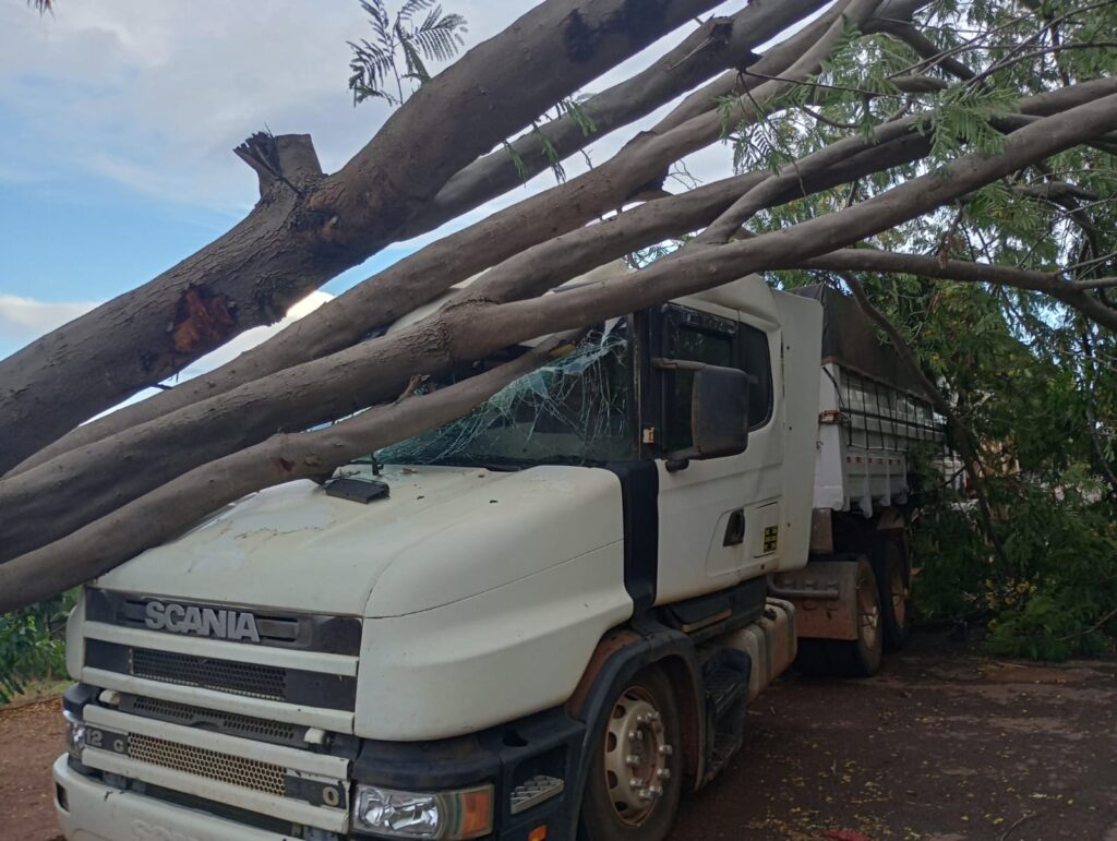 Caminhoneiro pede ajuda após ter coluna fraturada e árvore cair em cima do seu veículo