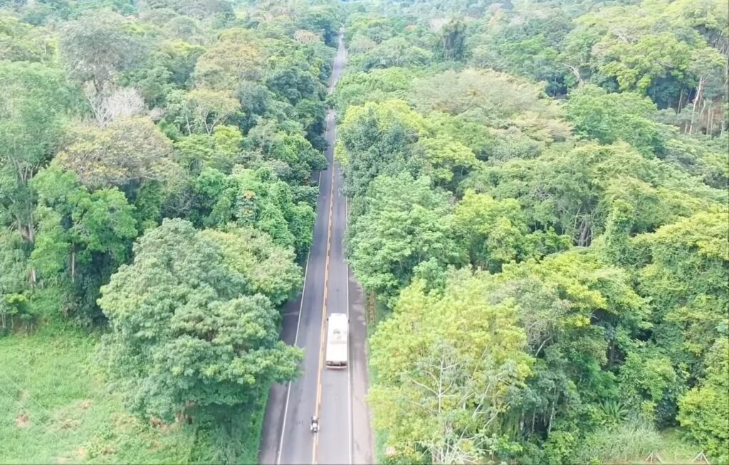 Alerta De Perigo Nas Estrada Cuidado Redobrado Na Br No Sul Da Bahia Brasil Do Trecho