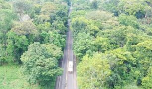 Alerta de perigo nas estrada: cuidado redobrado na BR-101 no sul da Bahia