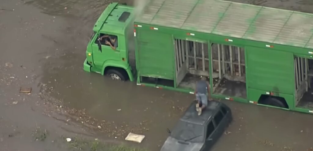 Caminhoneiro salva motorista ilhado em São Paulo