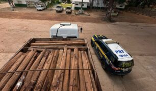 Carga Irregular: PRF intercepta veículo que transportava madeira sem documentação na BR-222
