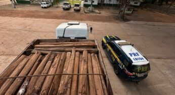 Carga Irregular: PRF intercepta veículo que transportava madeira sem documentação na BR-222