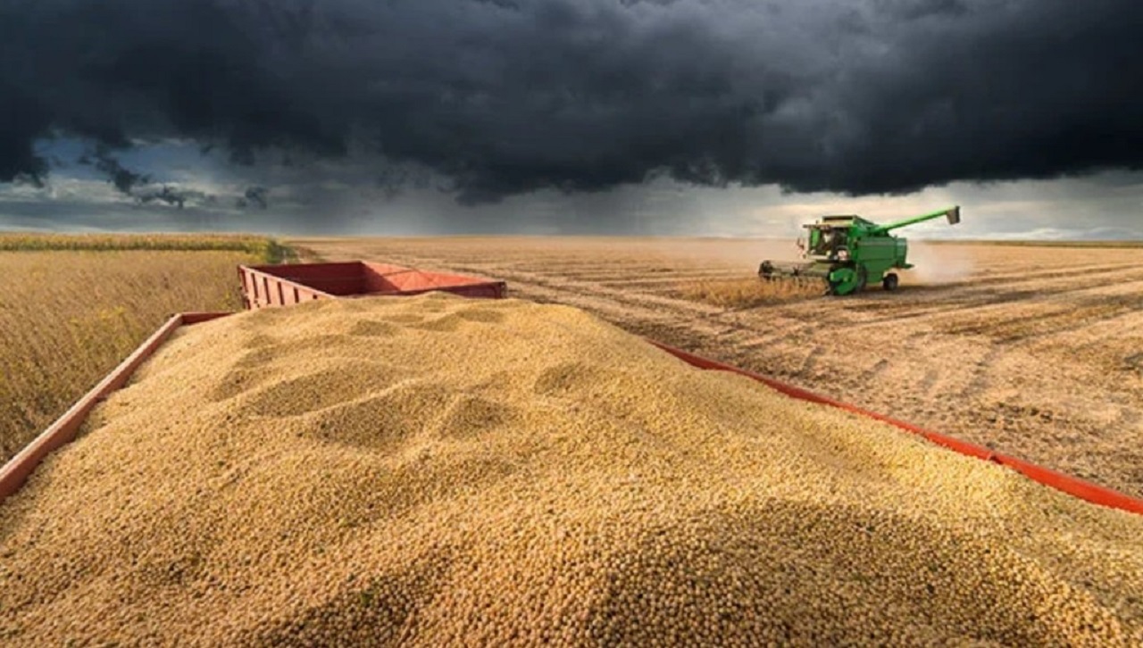 Desafios na distribuição de diesel afetam sete estados brasileiros durante colheita da soja