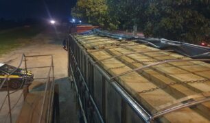 Operação combate transporte criminoso de madeira com duas ocorrências no mesmo dia