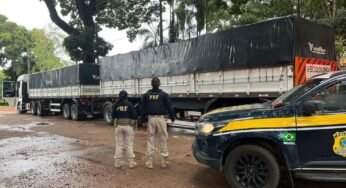 PRF apreende carga ilegal de madeira na BR-222