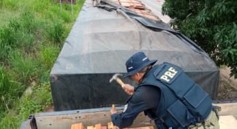 PRF apreende mais de 300m³ de madeira em combate ao transporte irregular na Amazônia Legal