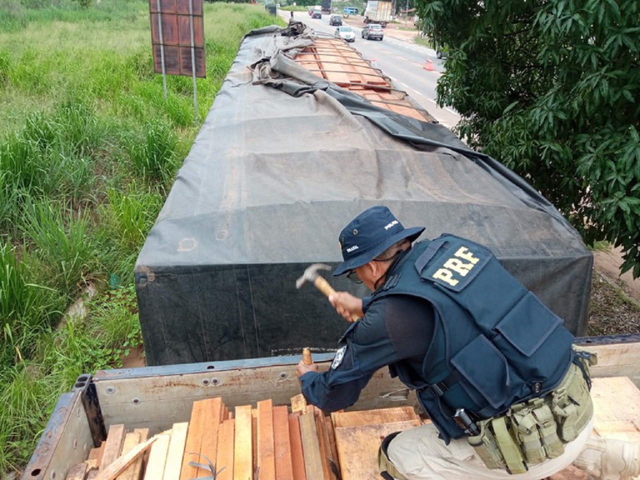 PRF apreende mais de 300m³ de madeira em combate ao transporte irregular na Amazônia Legal