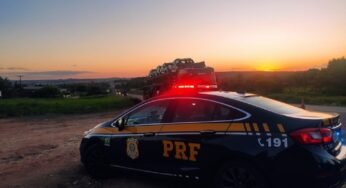 PRF prende homem que conduzia veículo automotor com o emplacamento adulterado
