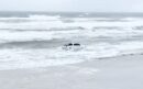 Aventura aquática na Flórida, caminhonete enfrenta o mar
