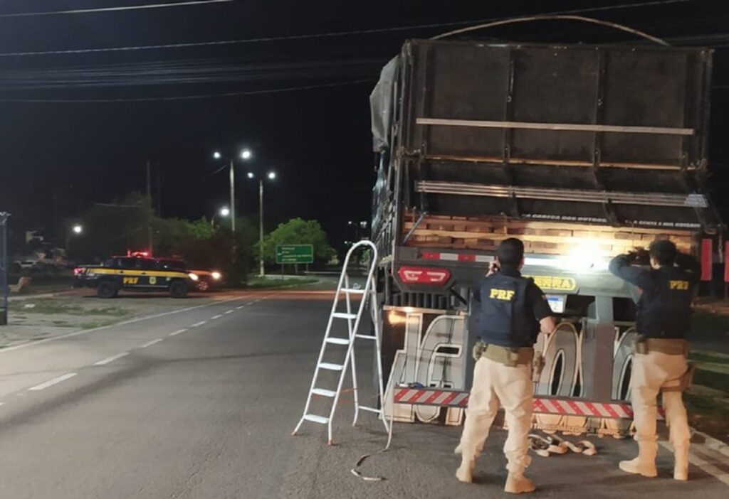 PRF apreende mais de 100m³ de madeira ilegal em Pernambuco