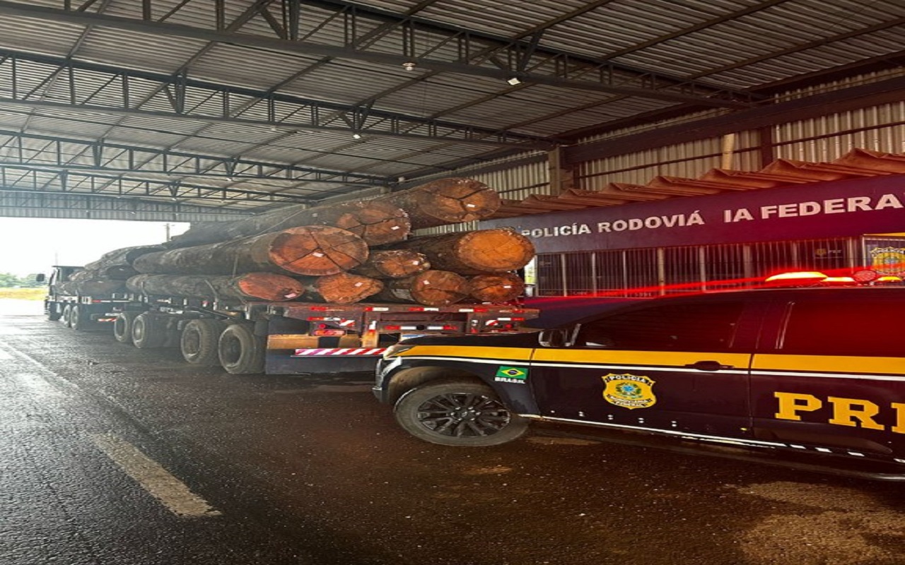 PRF em Rondônia, apreende carregamentos irregulares de madeira durante fiscalização ambiental