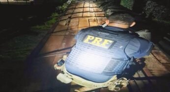 PRF flagra transporte ilegal de madeira nativa no Pará