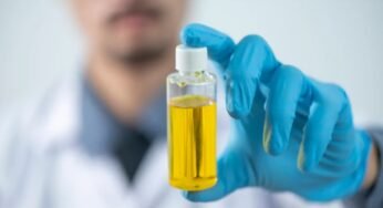 Brasil atrai investimentos bilionários da China em energia renovável e combustível sustentável