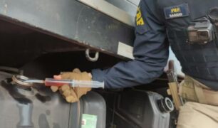 A crescente apreensão de caminhões por violações ambientais no Brasil