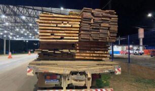 Apreensão de madeira ilegal em Rondônia