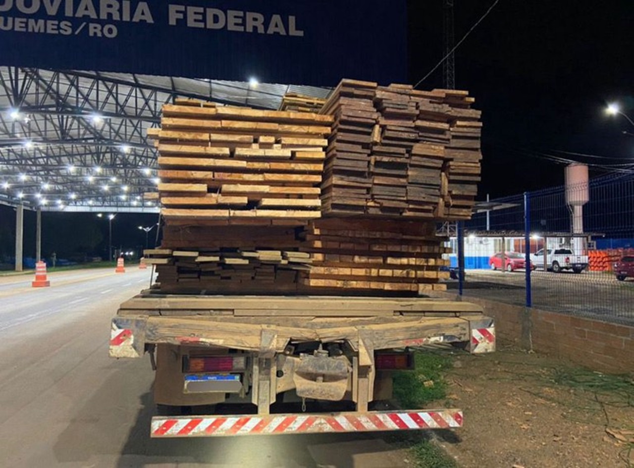 Apreensão de madeira ilegal em Rondônia