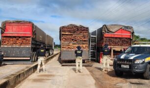 Apreensão de madeira ilegal pela PRF: operações de fiscalização resultam na apreensão de 196m³