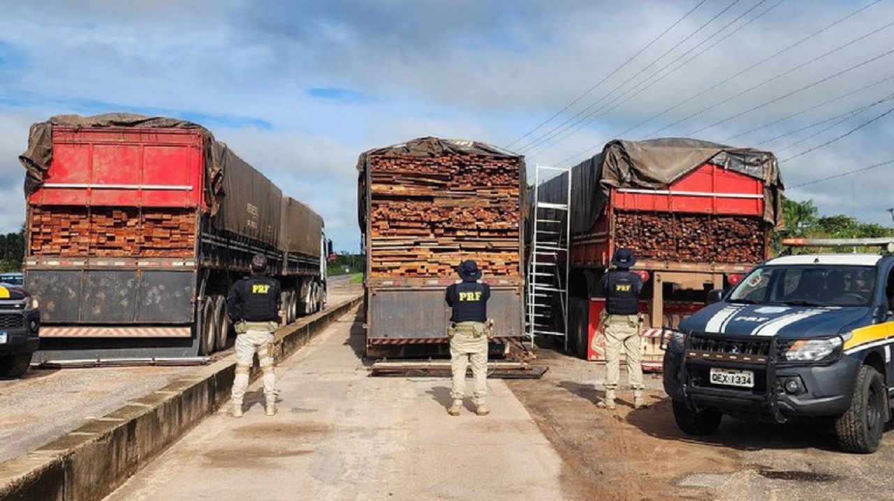 Apreensão de madeira ilegal pela PRF: operações de fiscalização resultam na apreensão de 196m³