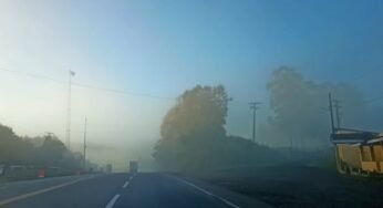 Como dirigir em uma rodovia com neblina?