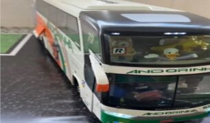Mini ônibus da Andorinha: réplica funcional surpreende nas redes sociais