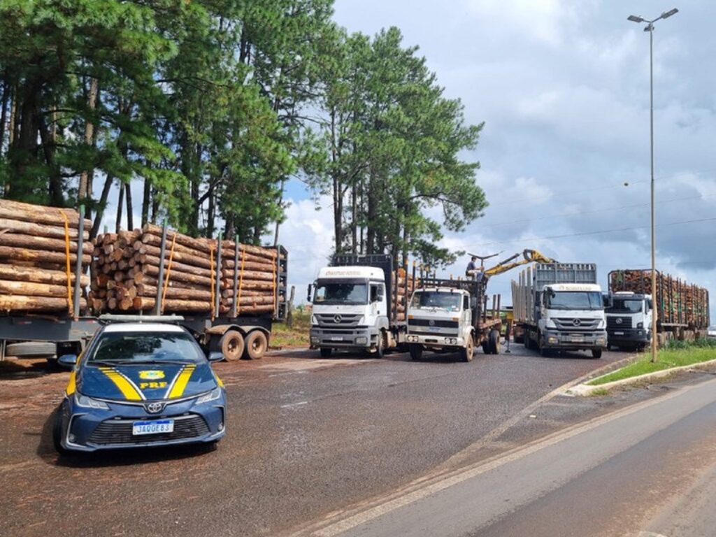 Operação de segurança viária revela infrações graves na BR-116