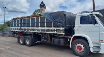 PRF apreende 35 m³ de carregamento ilegal de madeira em Rondônia