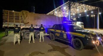 PRF apreende carga de madeira em Trairão, Pará