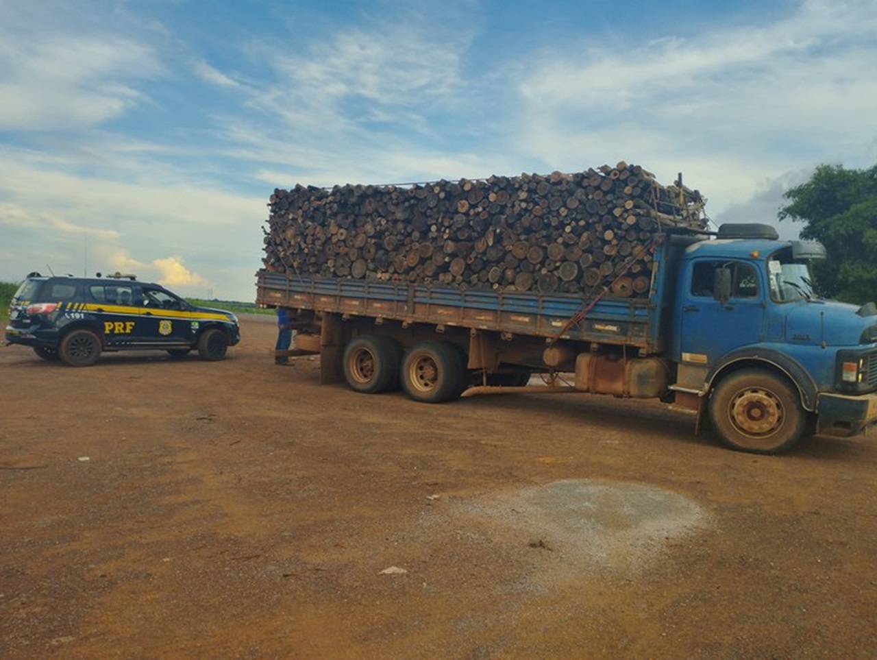 PRF apreende carga de madeira em um município do Tocantins