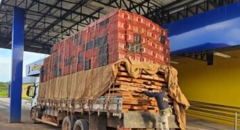 PRF apreende madeira ilegal em Balsas, Maranhão