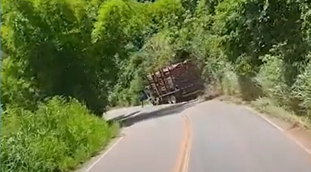 Caminhoneiro pula de caminhão em movimento na BR- 259