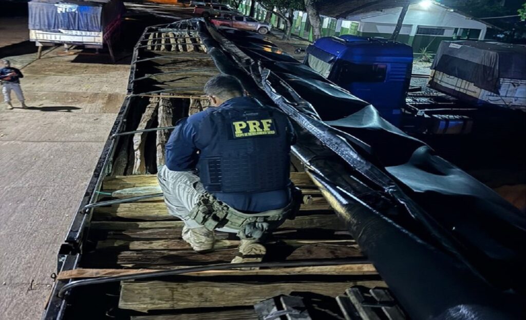 Apreensão de madeira ilegal, Polícia Rodoviária Federal age contra crimes ambientais