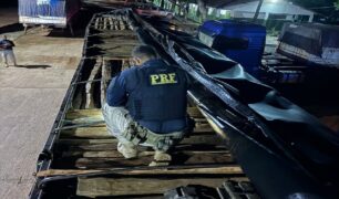 Apreensão de madeira ilegal, Polícia Rodoviária Federal age contra crimes ambientais