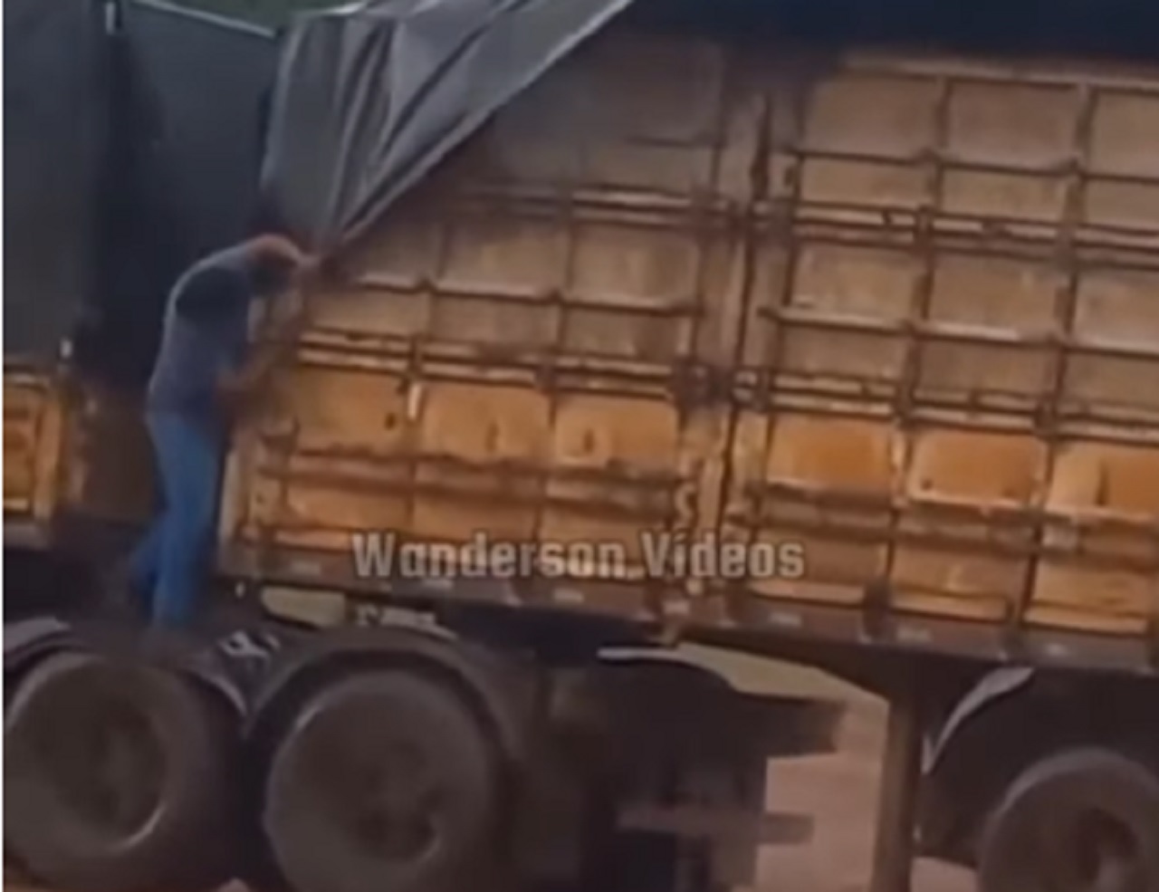 Caminhoneiro luta para prender a lona na carreta em meio à ventania e vídeo viraliza