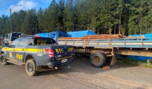 Caminhoneiro tem carga de madeira retida após não apresentar documento obrigatório