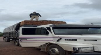 Apreensão de madeira de espécie protegida na BR-153