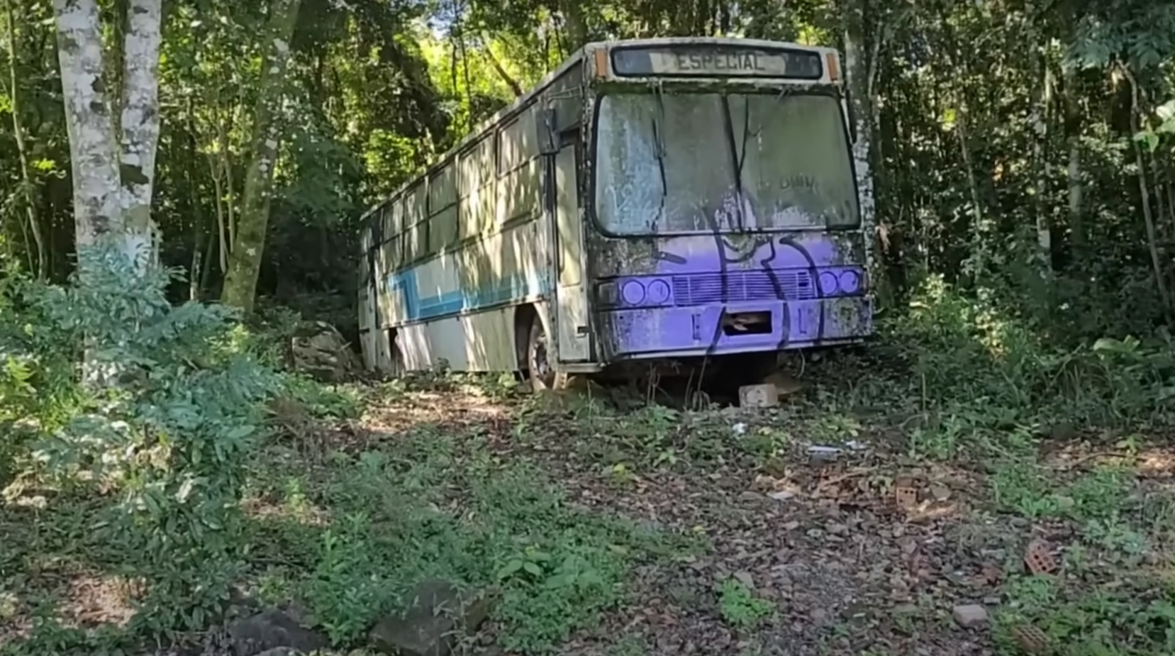 Ônibus de 1983 abandonado com interior intacto chama a atenção no Sul do país