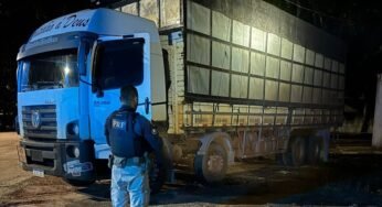 PRF apreende carvão vegetal na BR-222 e intensifica as fiscalizações para combater crimes ambientais.