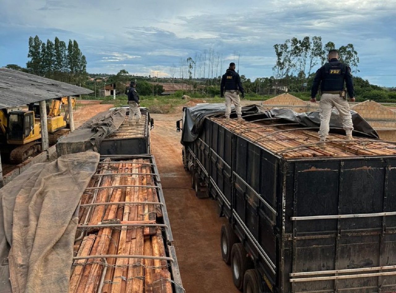 PRF Intensifica Fiscalização Ambiental no Pará durante a Operação Arco-Verde