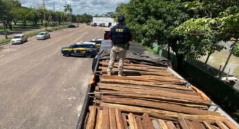 PRF apreende carga com guia florestal falsa em Marabá, Pará