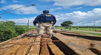 PRF apreende carga de madeira transportada sem documentação em Marabá, Pará