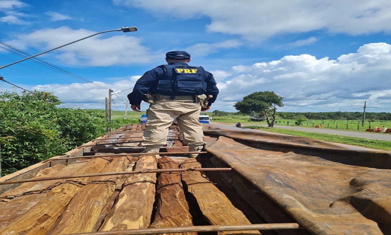 PRF apreende carga de madeira transportada sem documentação em Marabá, Pará