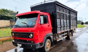 PRF apreende dois caminhões com carga animal irregular
