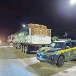 PRF apreende mais de 90m³ de madeira ilegal na BR-232