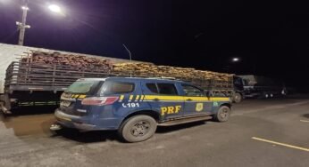 PRF em Rondônia identifica irregularidades em carregamento de madeira