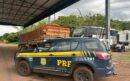 PRF intercepta transporte ilegal de madeira na BR-230