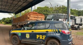 PRF intercepta transporte ilegal de madeira na BR-230
