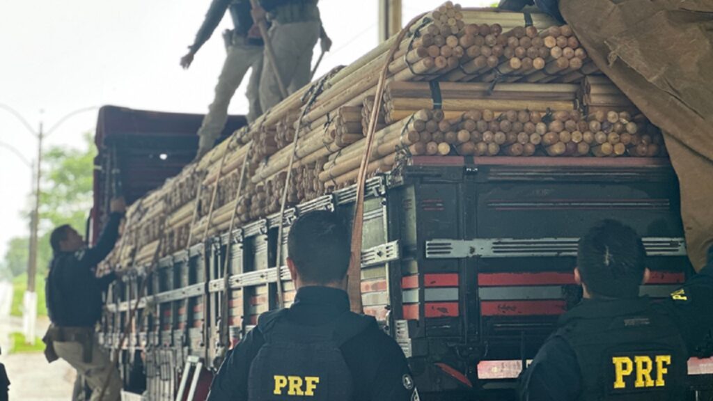 PRF realiza capacitação para atuarem transporte de madeira ilegal