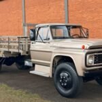 Veja um caminhão Ford à venda totalmente original