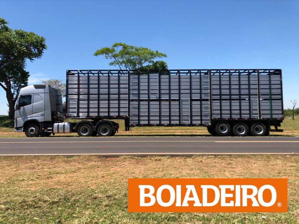 A rotina de um motorista de caminhão boiadeiro desafios e vivências